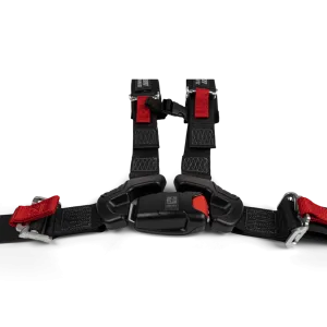 4-Point Harness (driver)