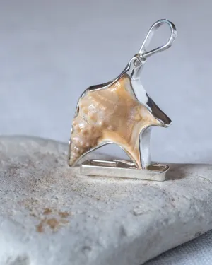 Seashell Special